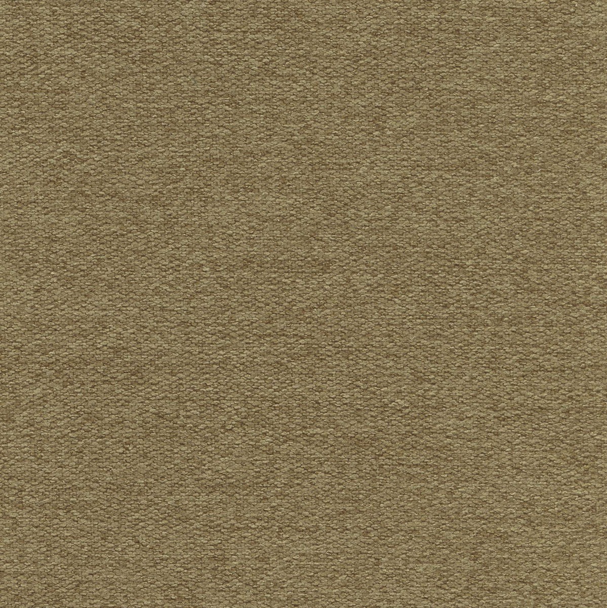 45526 LODEN (WOOLLY)