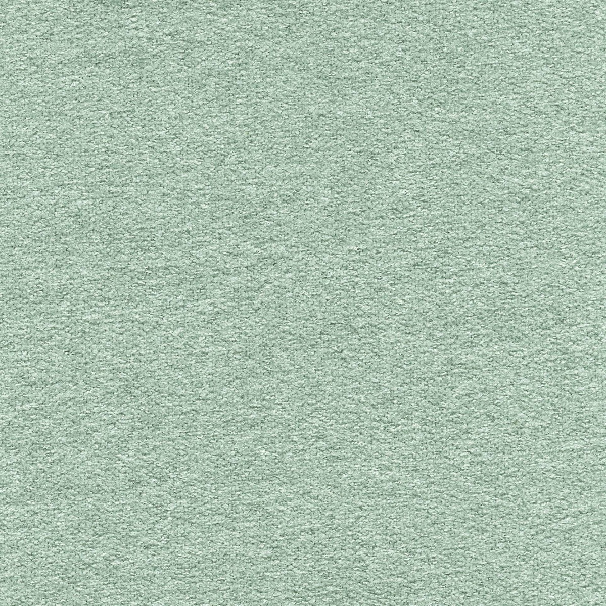 45529 AQUA (WOOLLY )