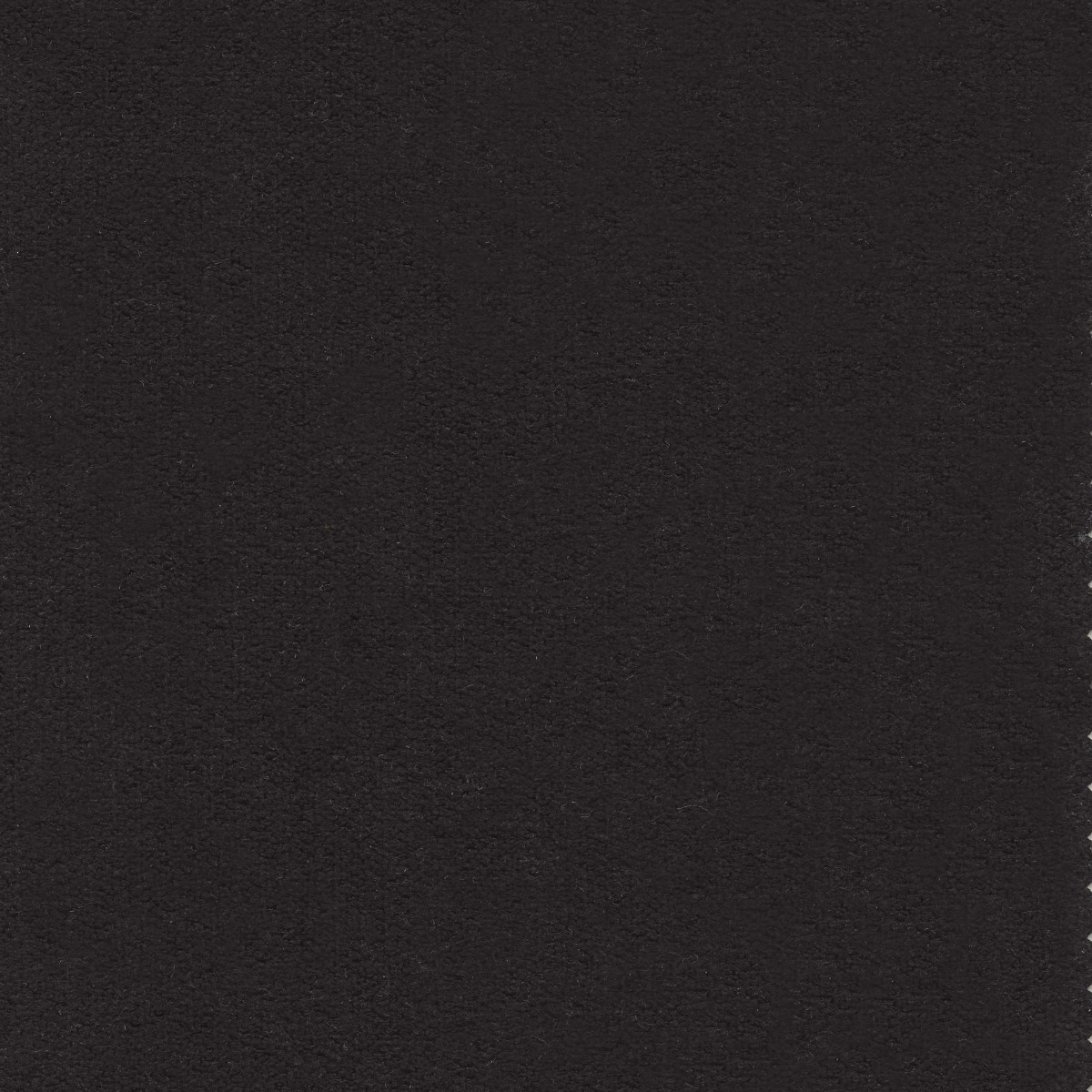 45534 BLACK (WOOLLY)