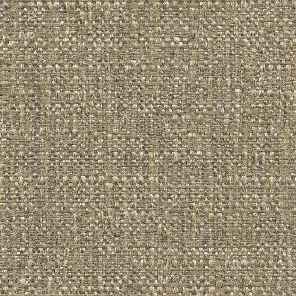 45610 WHEAT (OAKMONT) WITH NANOTEX