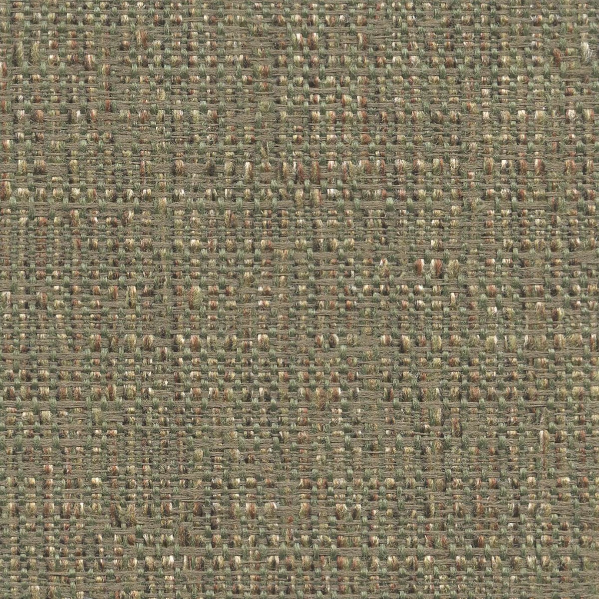 45613 ALGAE (OAKMONT) WITH NANOTEX