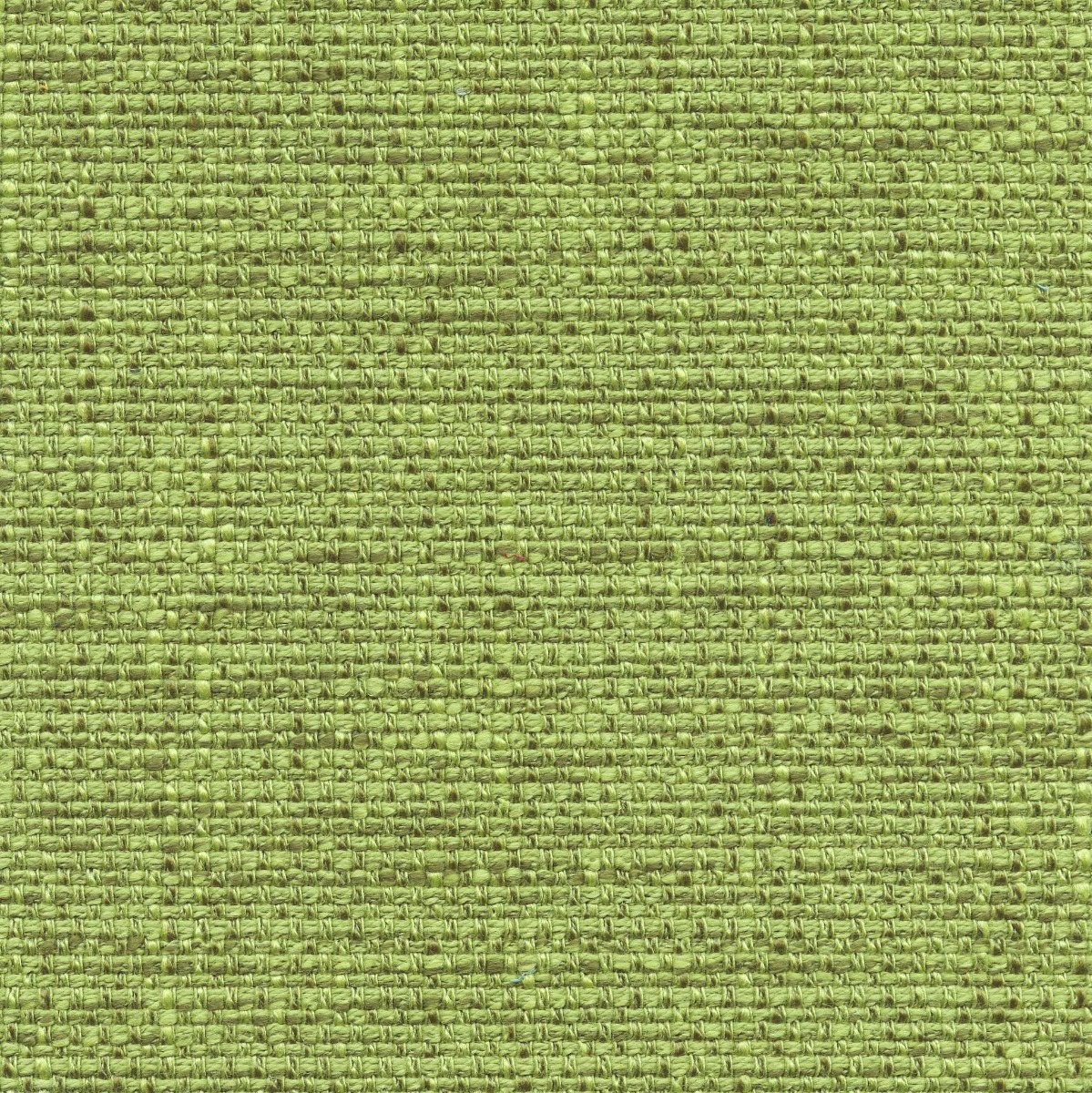 45903 APPLE   (WESTFIELD) WITH NANOTEX