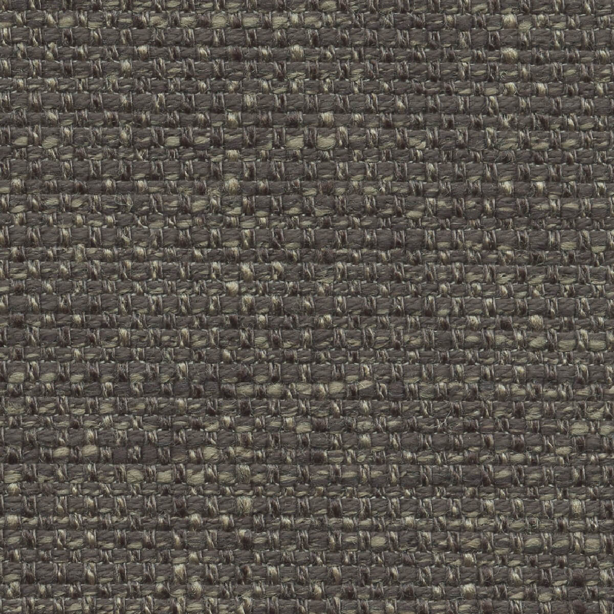 45917 ROOTBEER (WESTFIELD) WITH NANOTEX