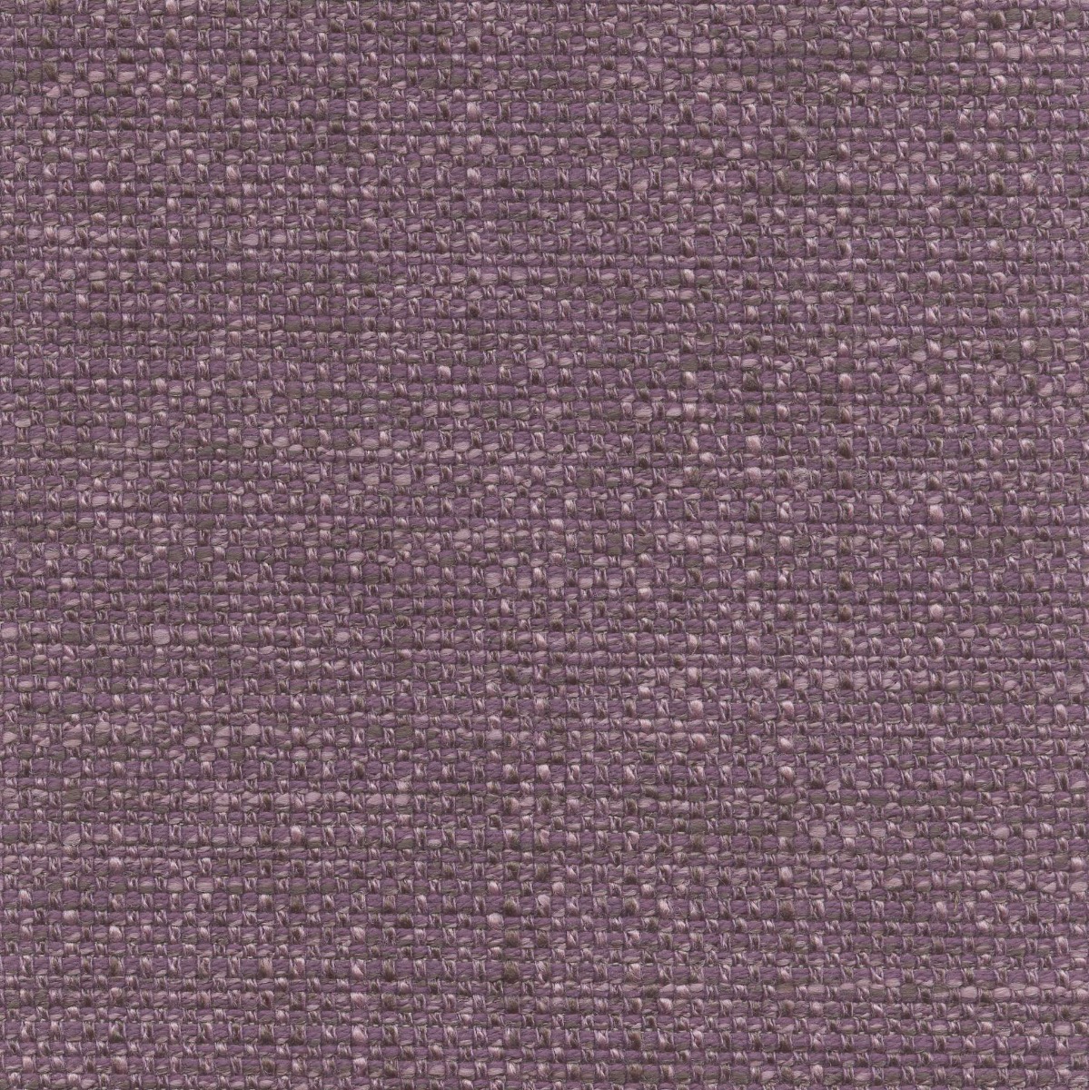 45929 JELLYBEAN (WESTFIELD) WITH NANOTEX