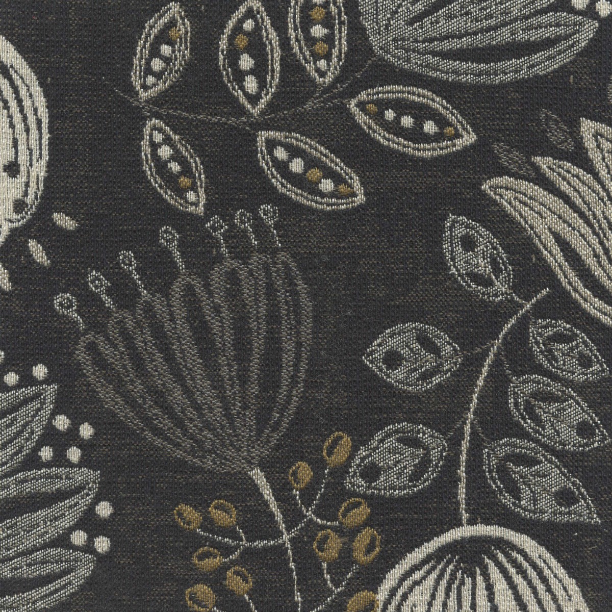 46004 EBONY (FROLIC)