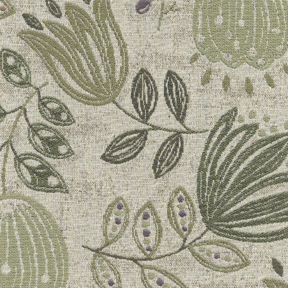 46009 GARDEN (FROLIC)