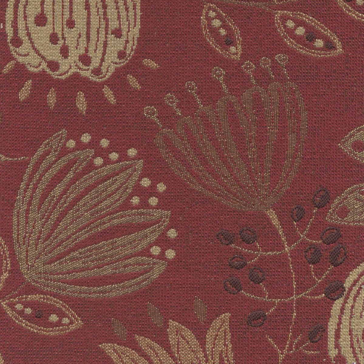 46016 POPPY (FROLIC)