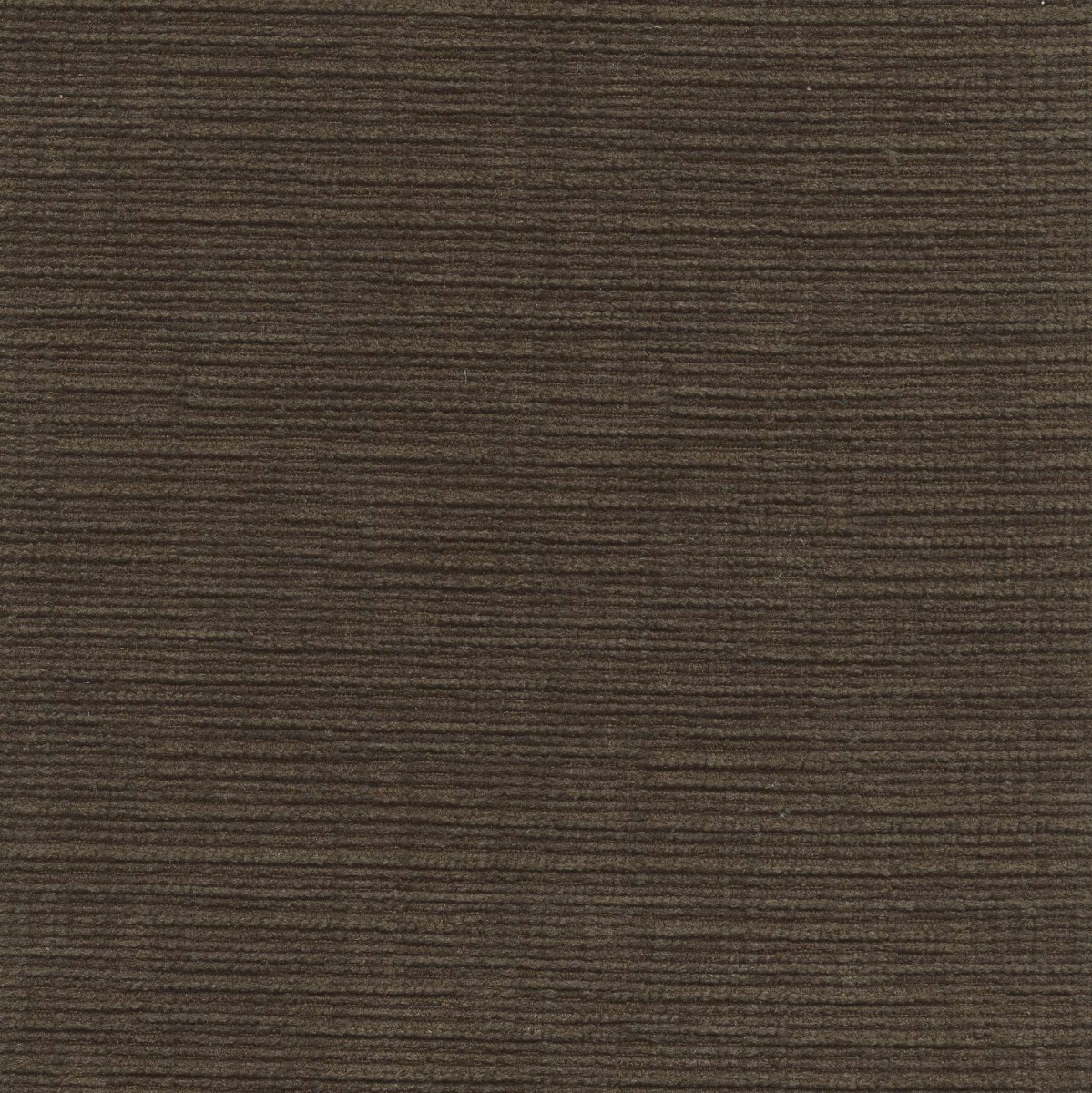 46029 JAVA (DUBLIN) WITH NANOTEX