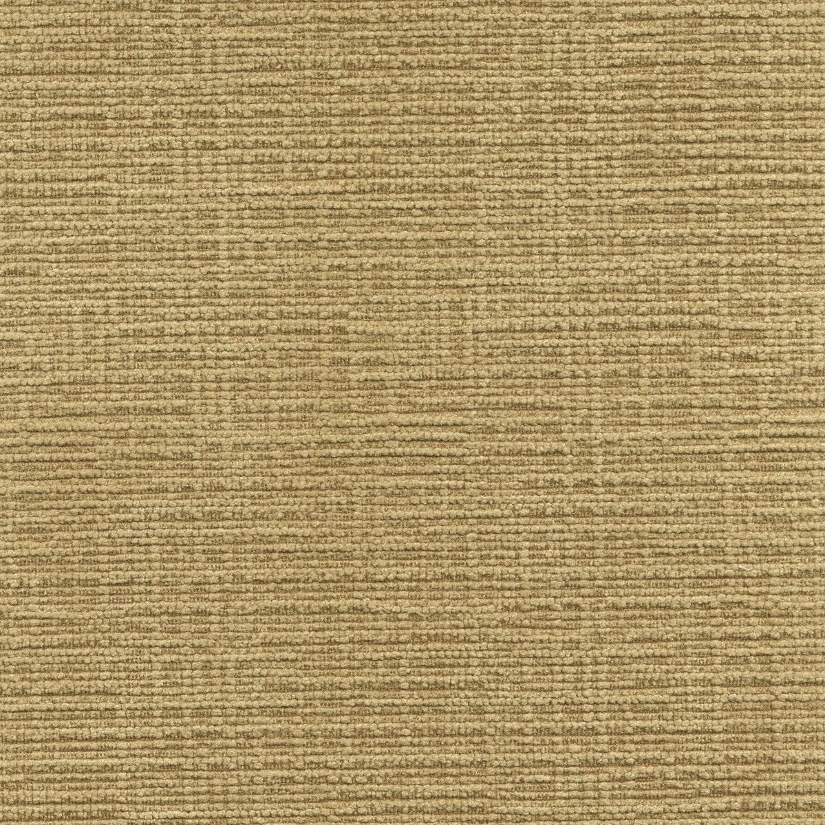46030 WHEAT (DUBLIN) WITH NANOTEX