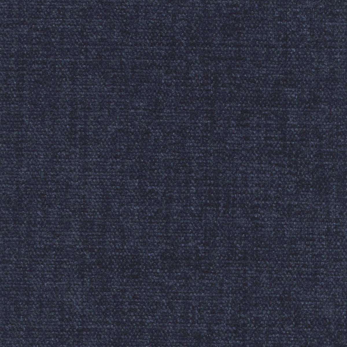 46038 INDIGO (CHARISMA)