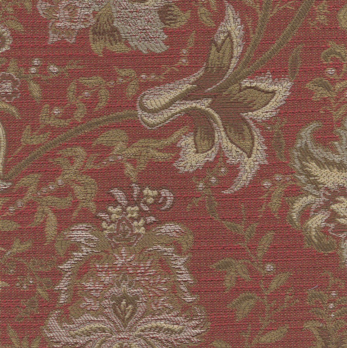 46106 DAHLIA (PROVINCIAL)