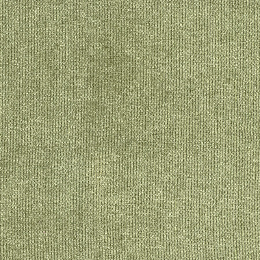 46315 CELERY (NOBLE)