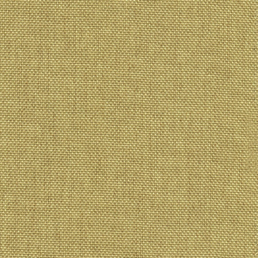 46613 OLD GOLD (ARCADIA)