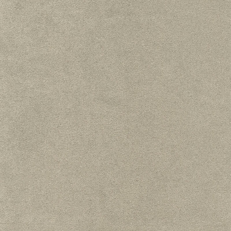 46718 PUTTY (LUXSUEDE II)