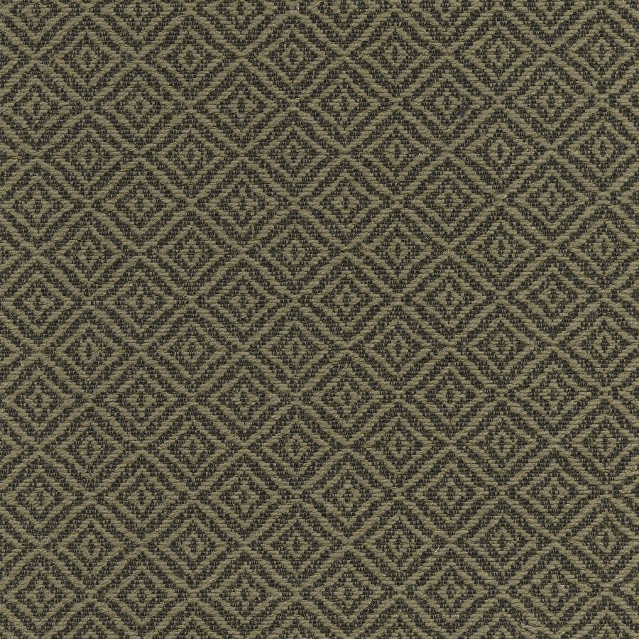  46825 EARTH (PETRIE)