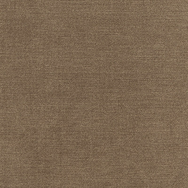 46934 NUTMEG (BROOKLYN)