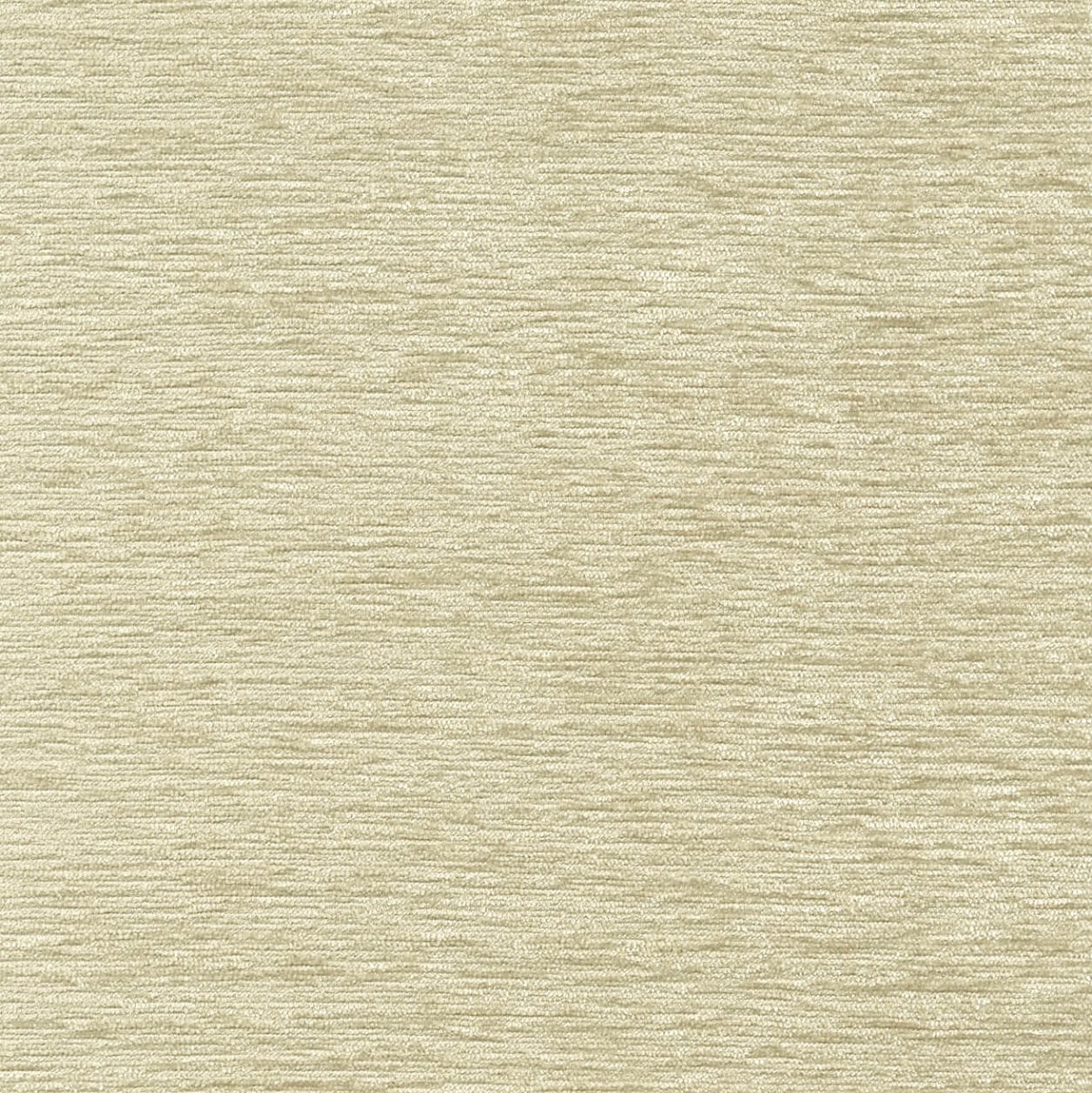 47021 OYSTER (EVELYN)