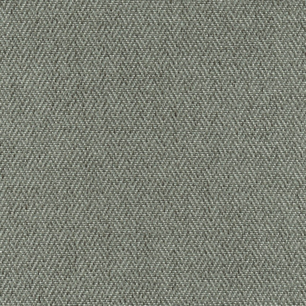 47030 SLATE (RALEIGH)