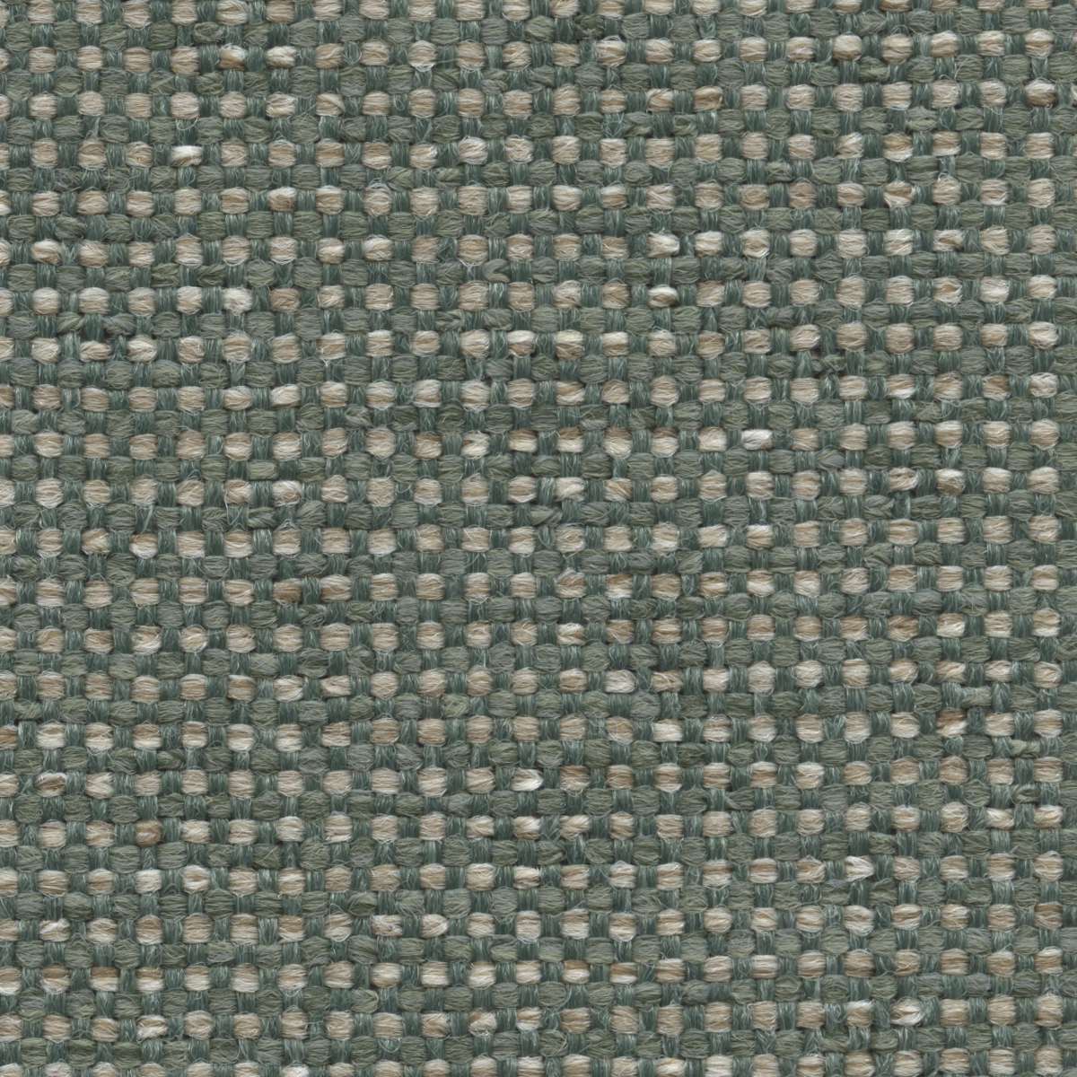 4707 CACTUS (LUXWEAVE)