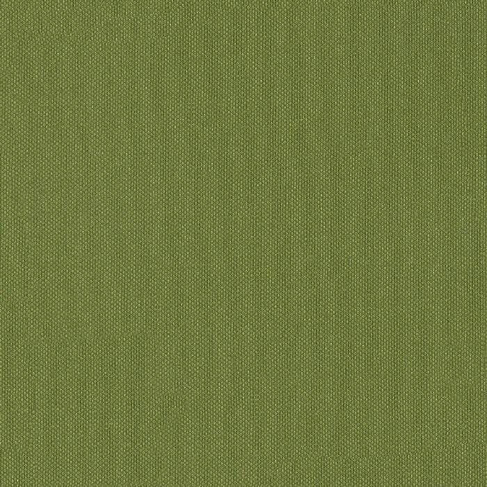 47639 BASIL (SILVERTEX)