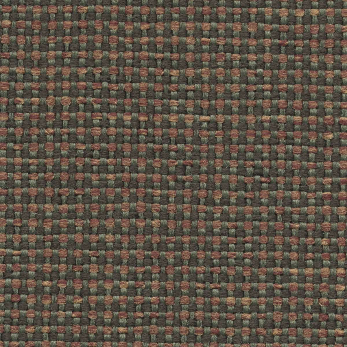 4775 LICHEN (LUXWEAVE)