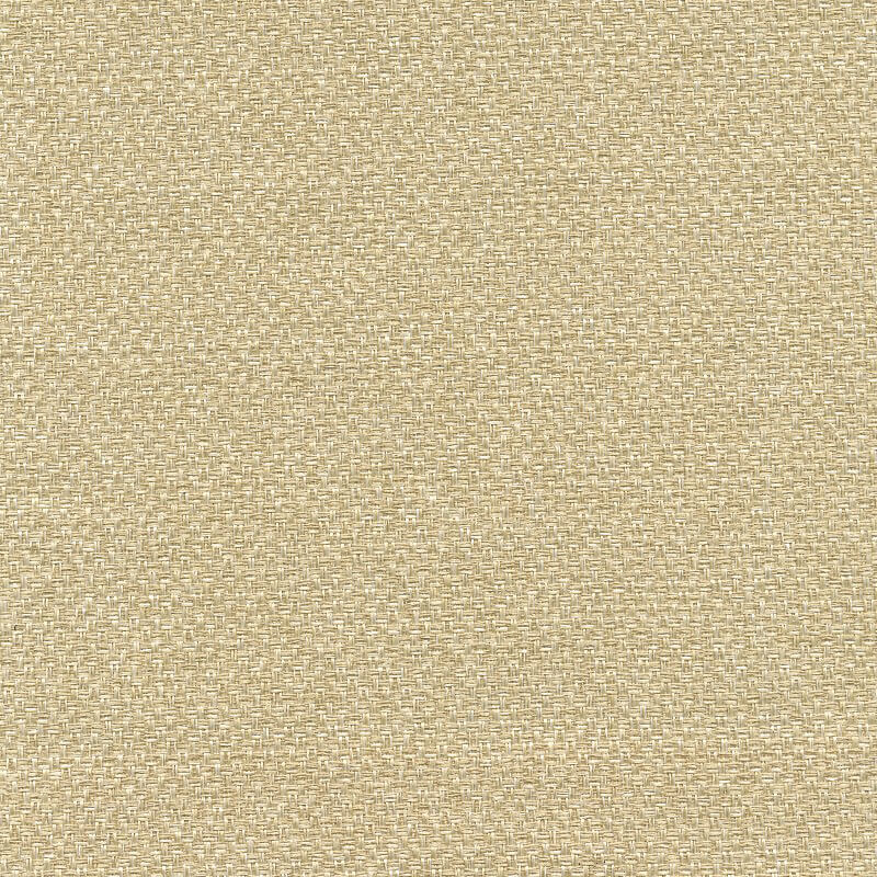 48003 BONE (BASKET)