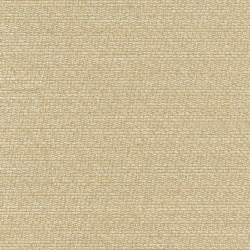 48005 PAPAYA WHIP (BASKET)