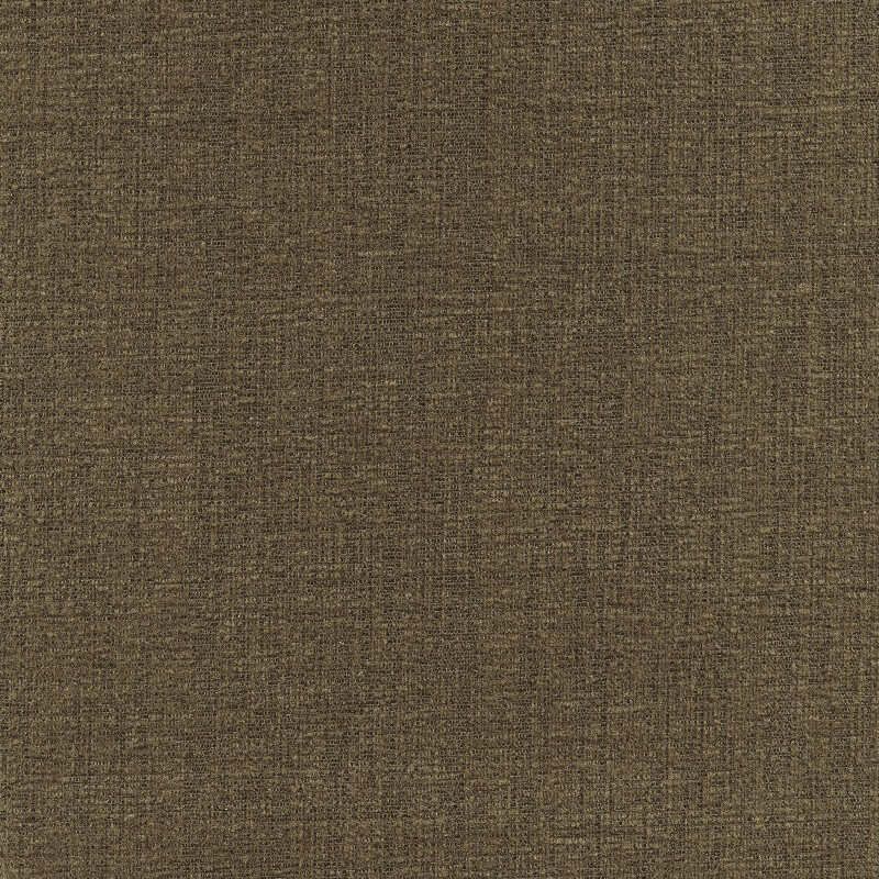 48031 OLIVE (CARLISLE)