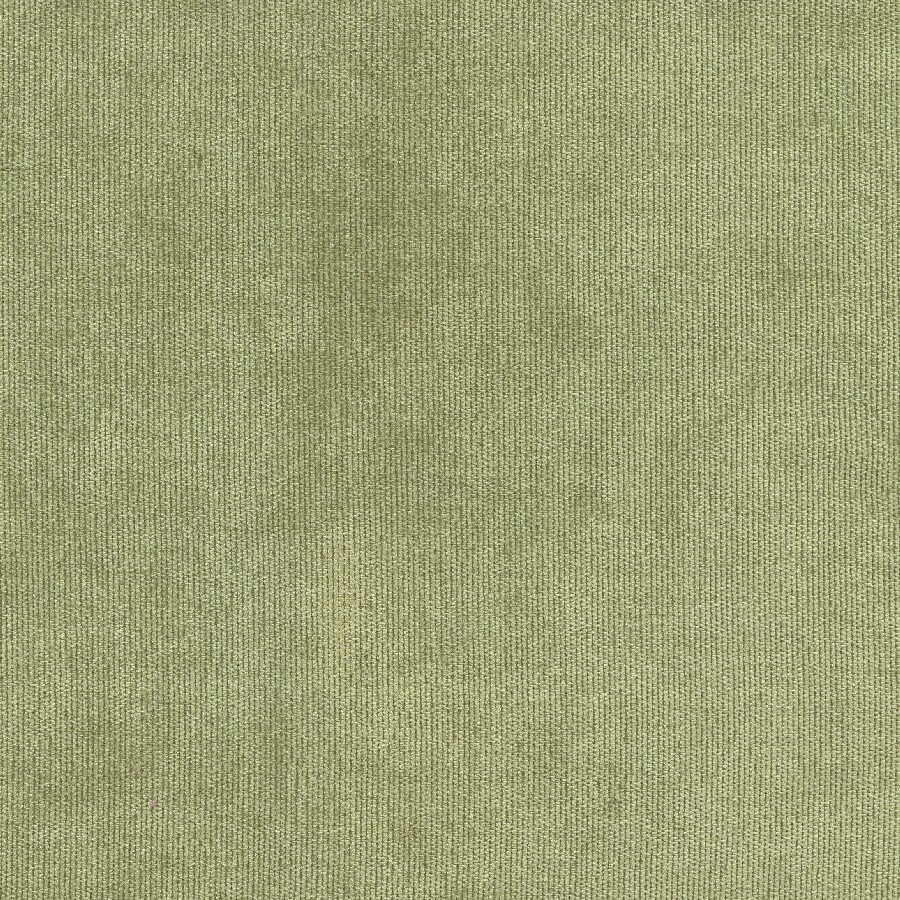 48515 CELERY (NOBLE)