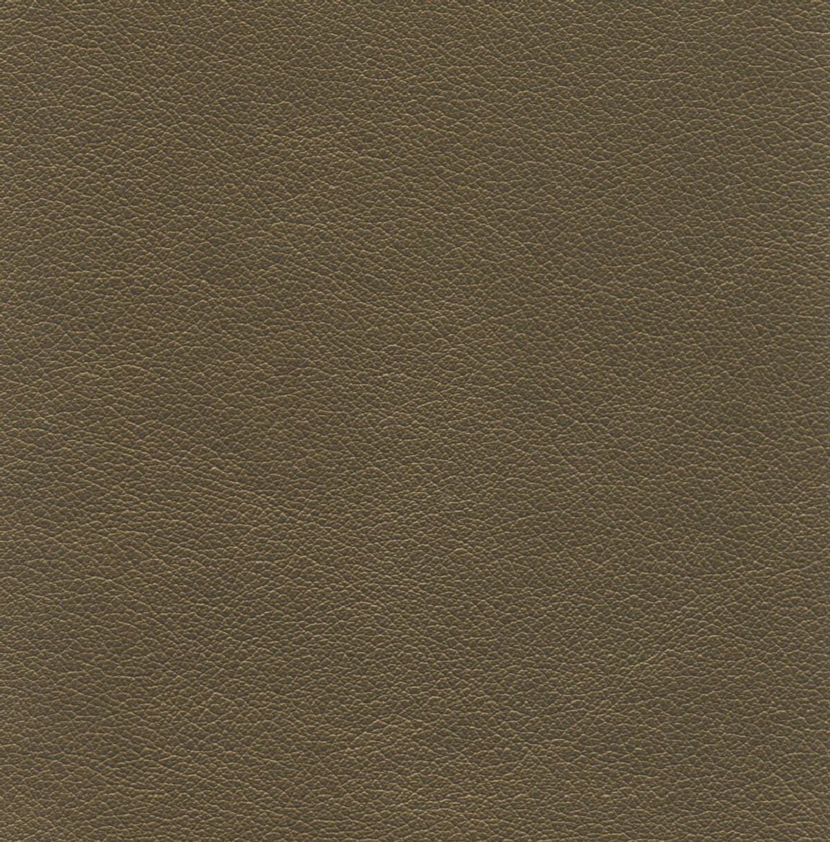 50187 COPPER (STARLITE)