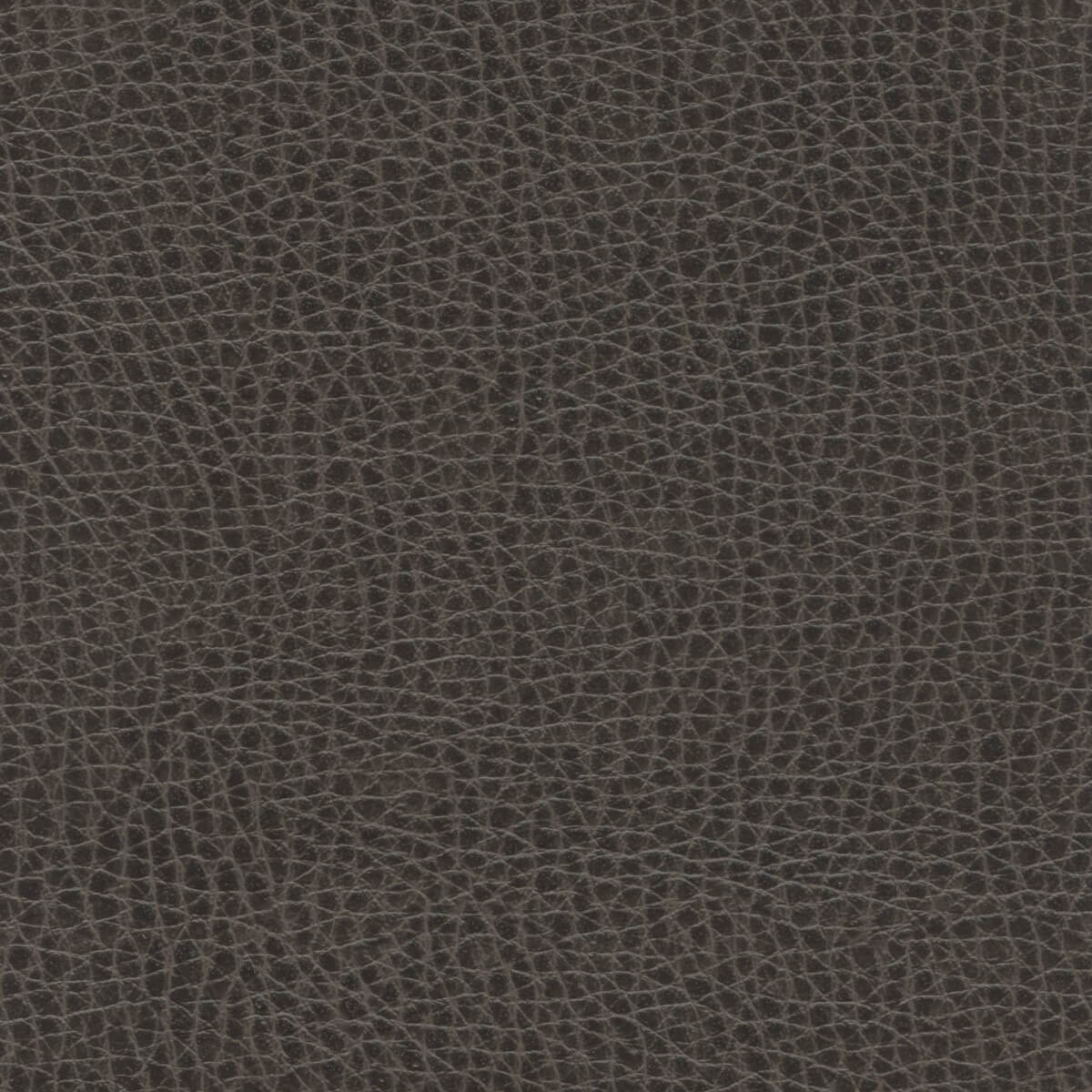 50189 BROWN (MAVERICK)