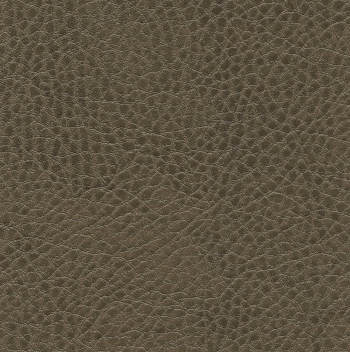 50196 MUSHROOM (JAMES)