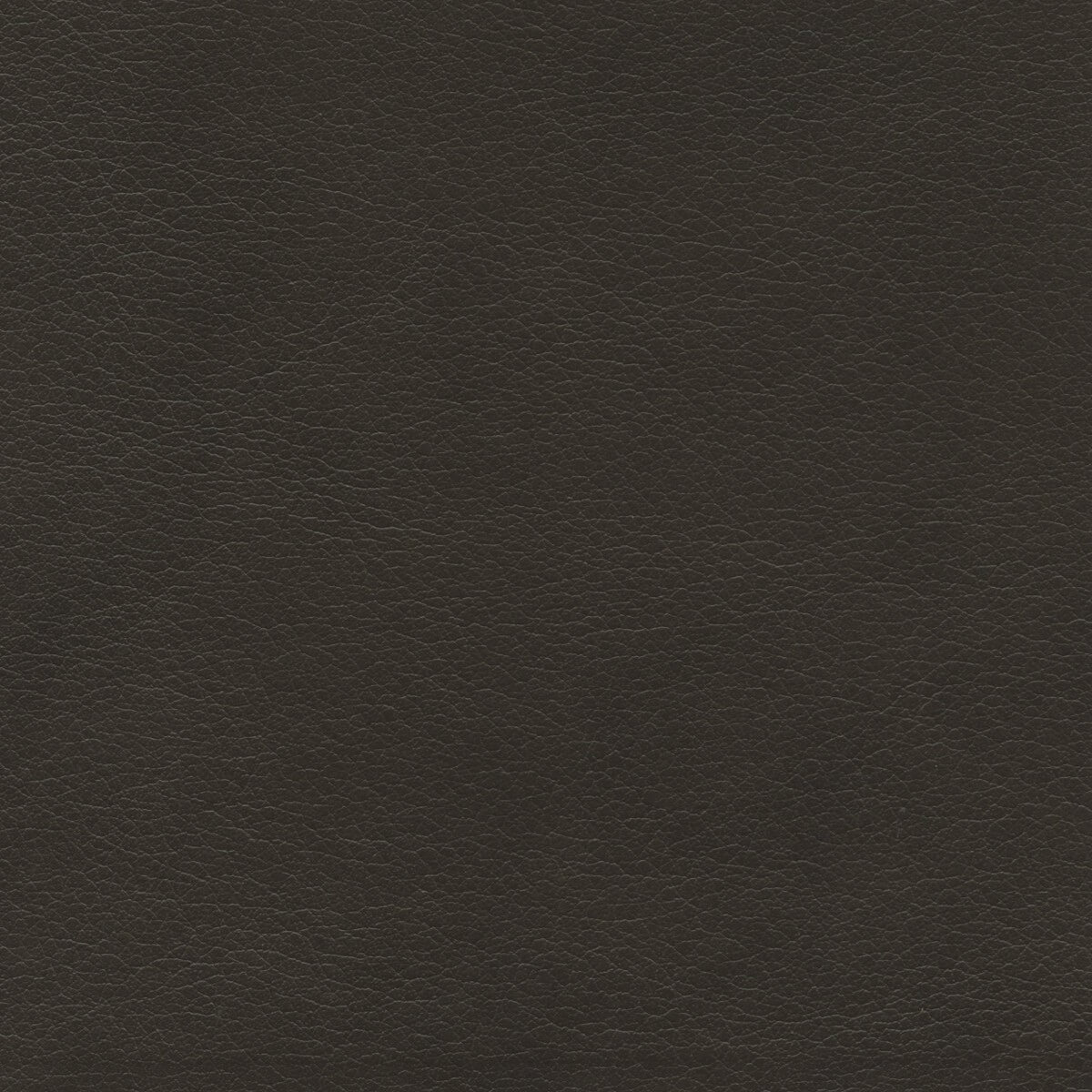 50202 BROWN (TAOS)