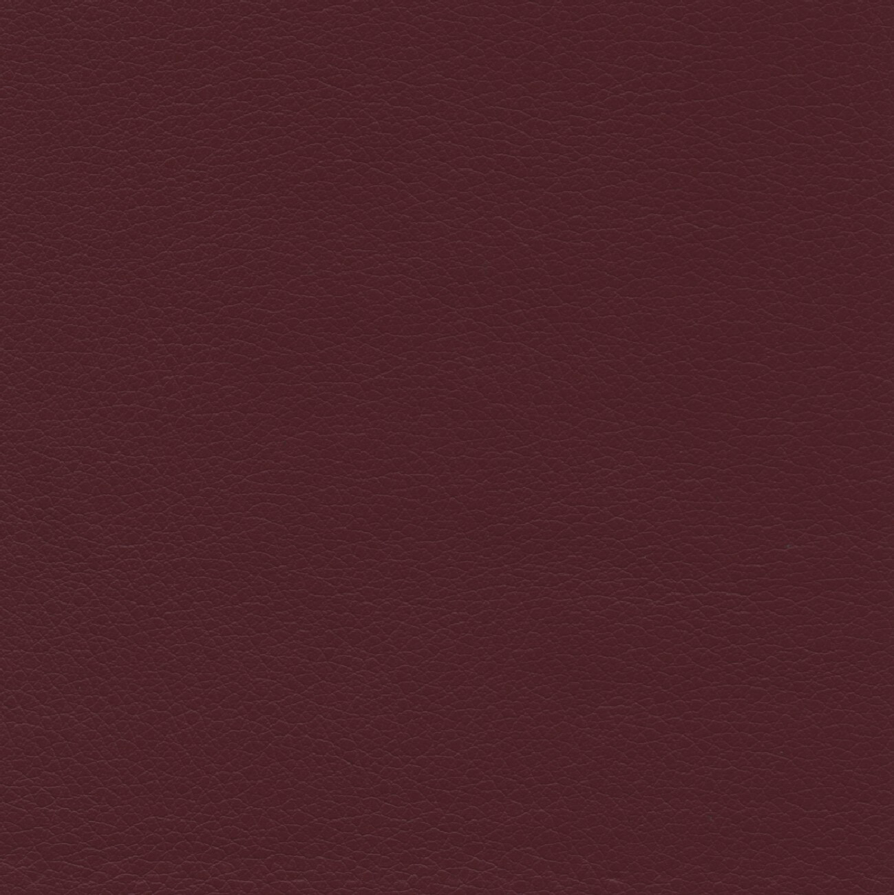 50207 MERLOT (MESA)