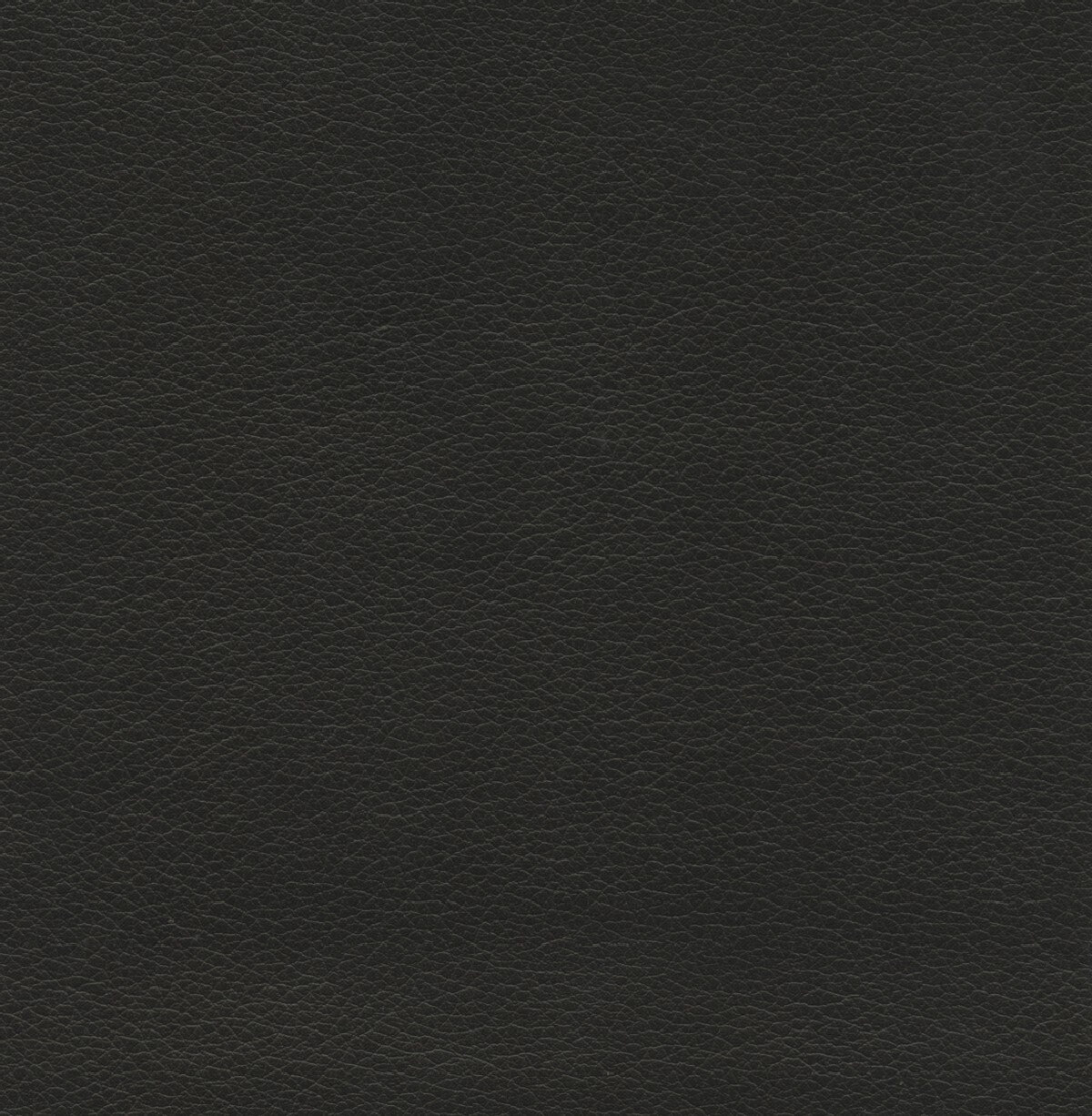 50214 BLACK (TAOS)