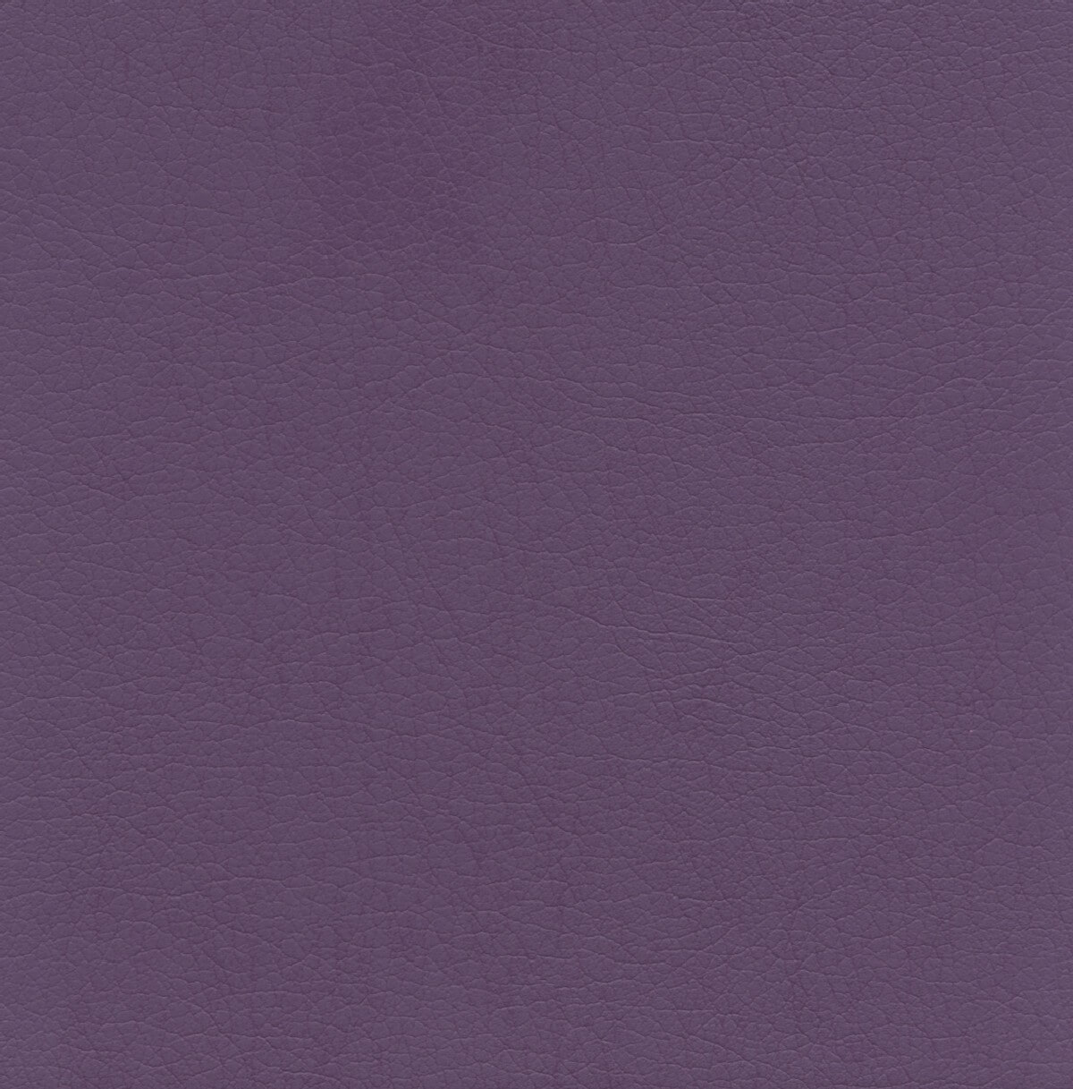 50231 VIOLET (TAOS SPA)