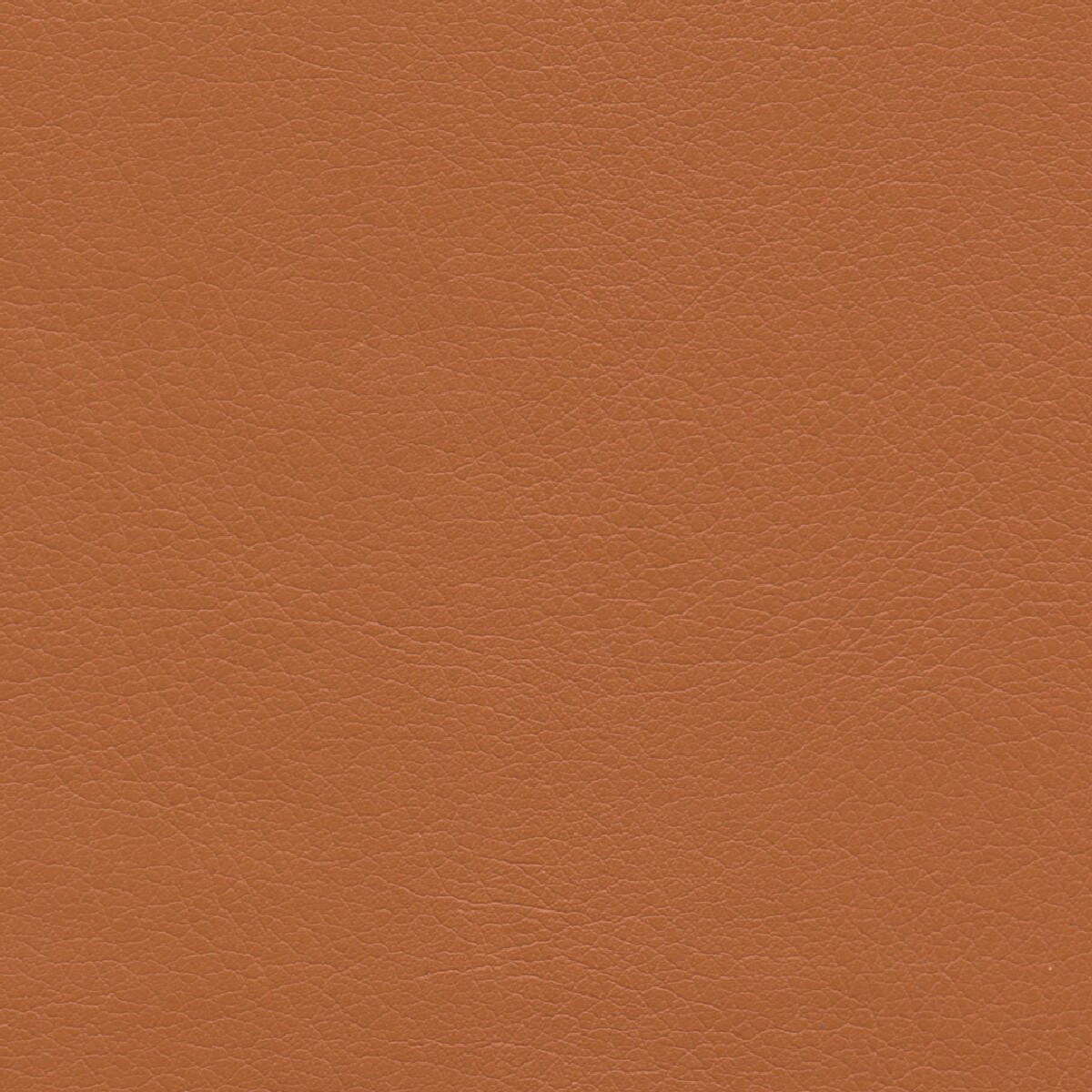 50233 MANGO (TAOS SPA)