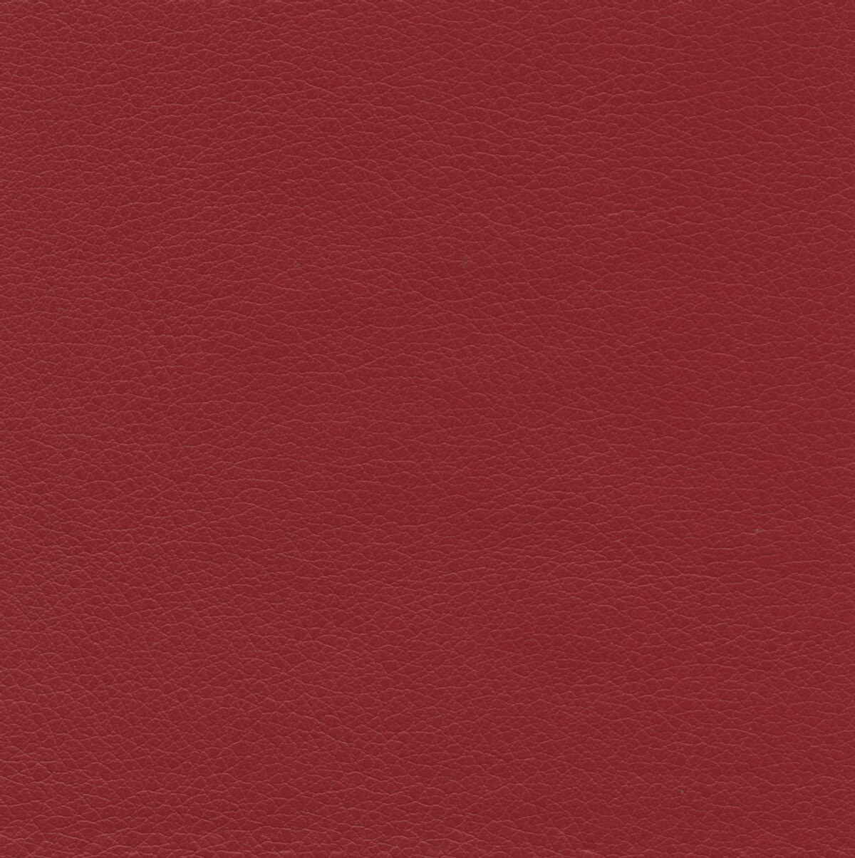 50238 TOMATO (TAOS SPA)