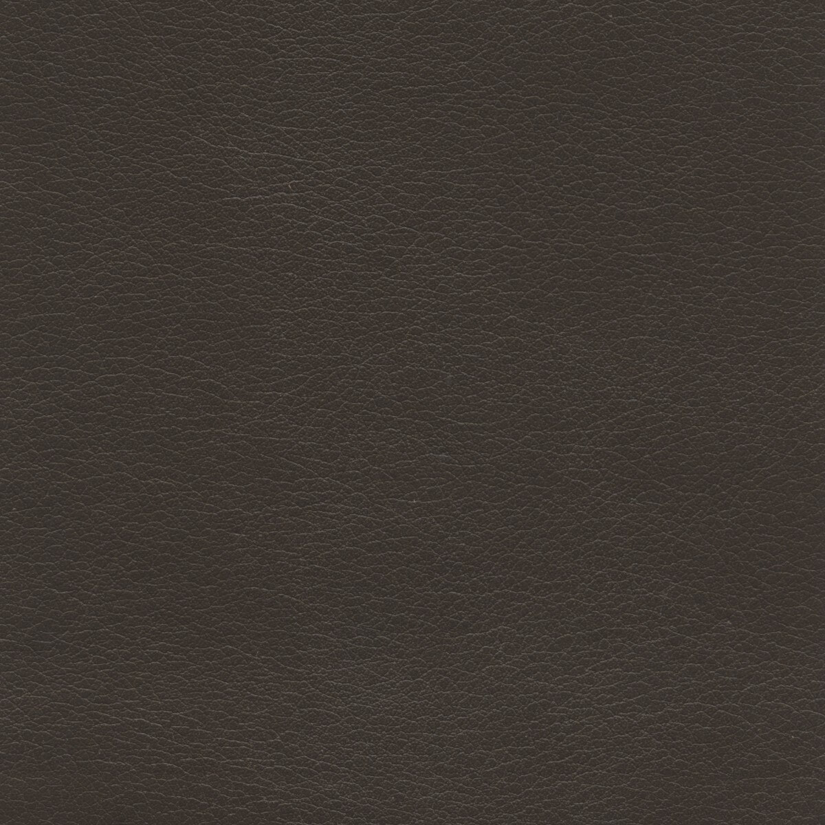50242 CHOCOLATE (MESA)