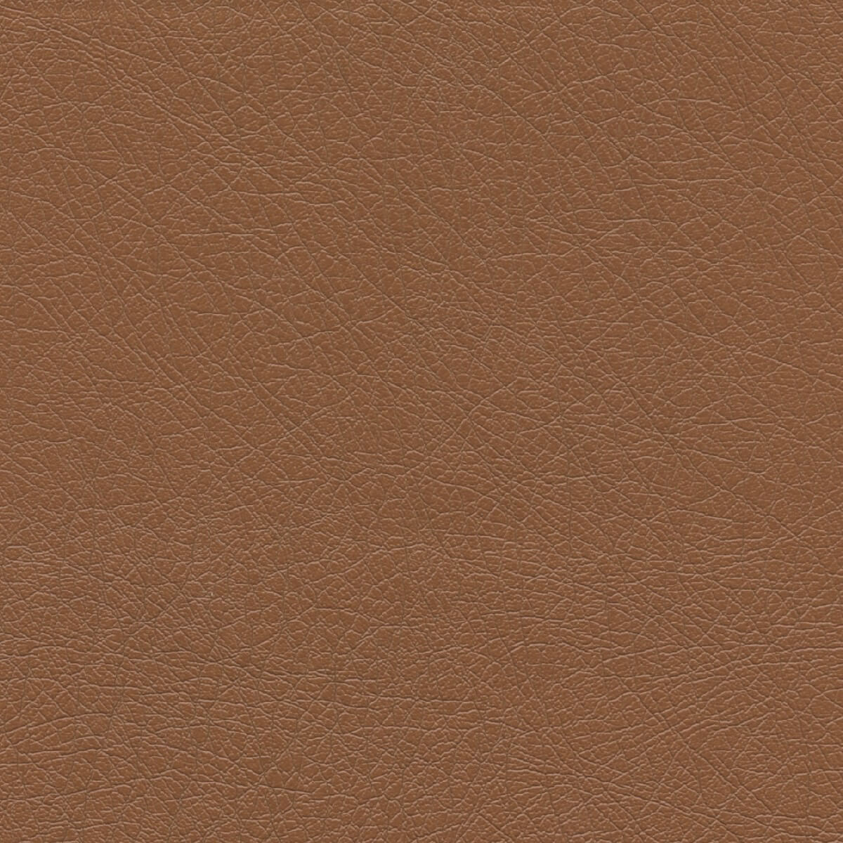 50243 MANGO (SUPPLE)