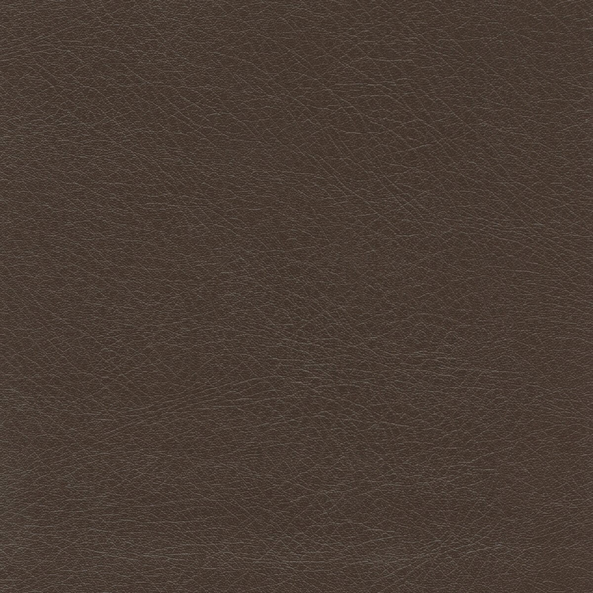 50245 CHESTNUT (SUPPLE)