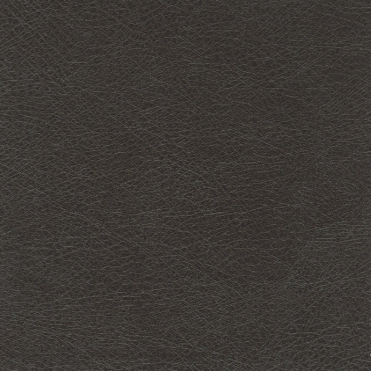 50251 CHOCOLATE (SUPPLE)