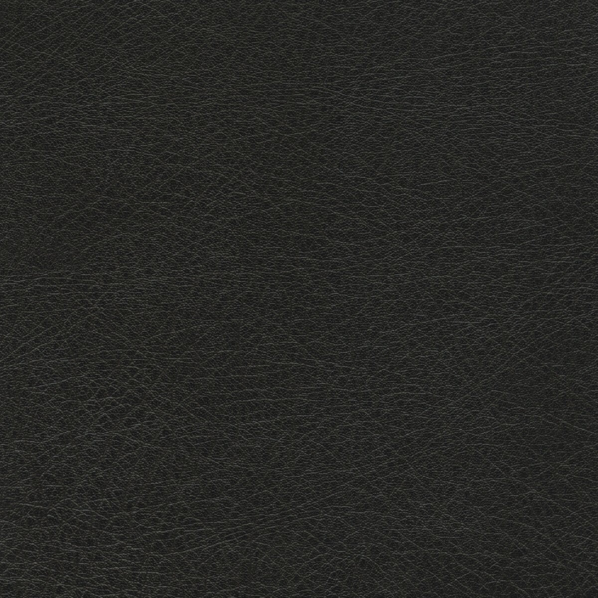 50252 BLACK (SUPPLE)