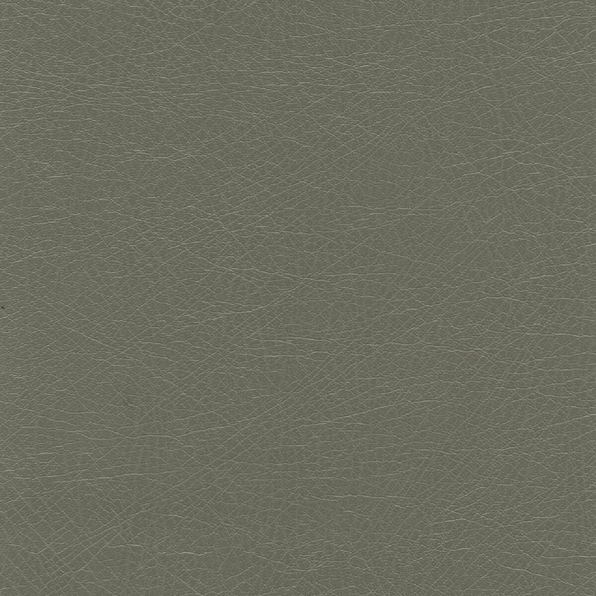 50254 SAGE (SUPPLE)
