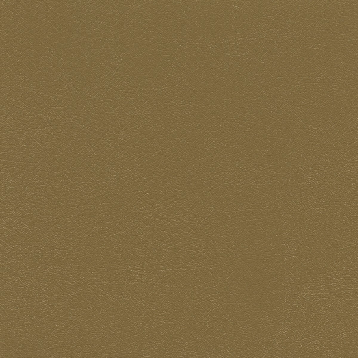 50260 BRONZE (SUPPLE)