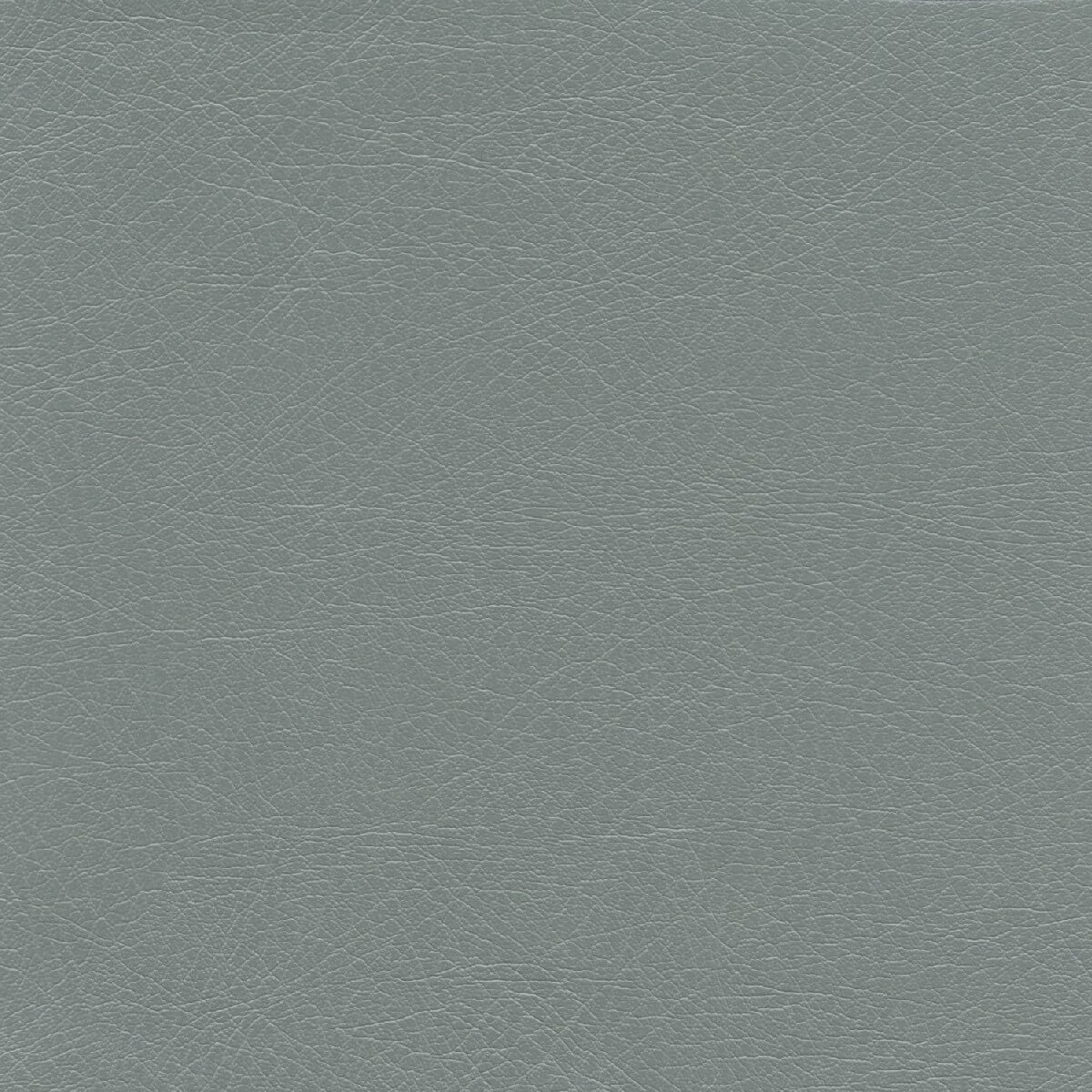 50262 DOVE (SUPPLE)