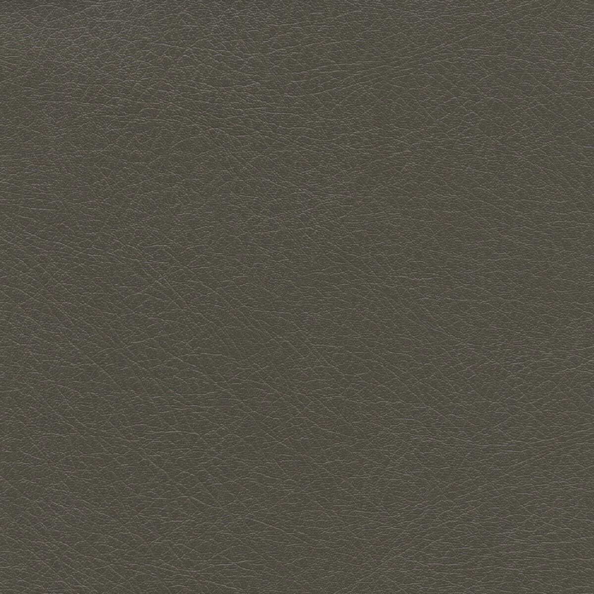 50263 GREEN TEA (SUPPLE)