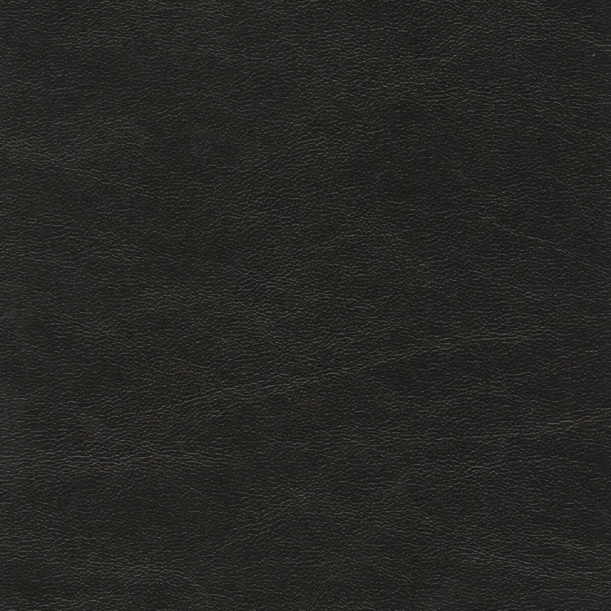 50303 BLACK (5TH AVENUE/STA-KLEEN)