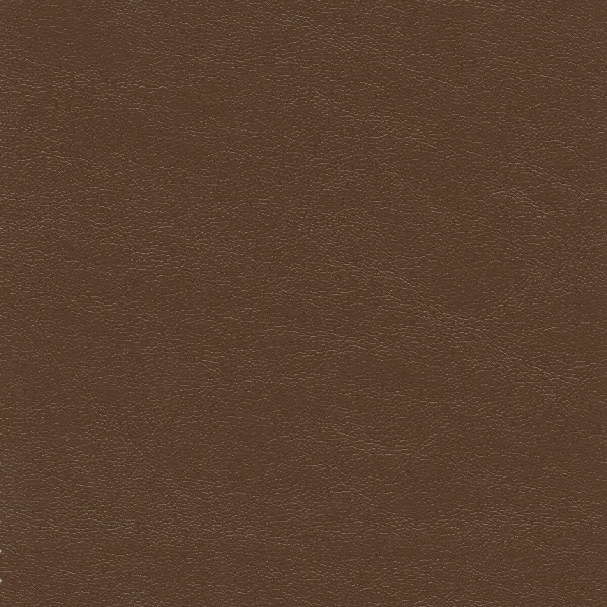 50309 CAMEL (5TH AVENUE/STA-KLEEN)