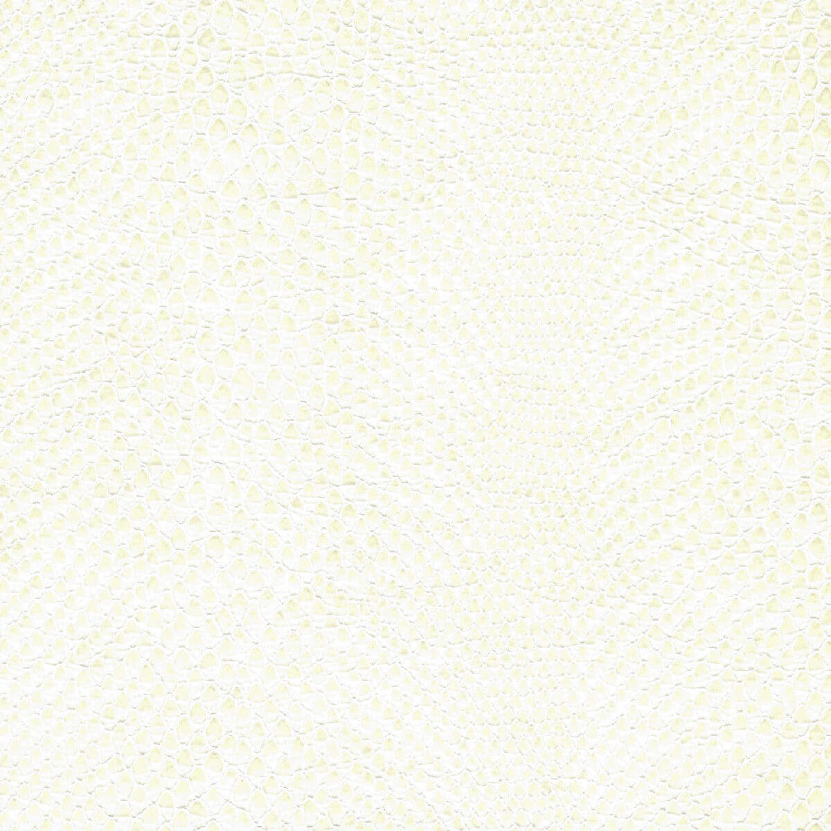50311 OFF WHITE (SNAKE/STA-KLEEN)